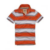 Polo Hollister